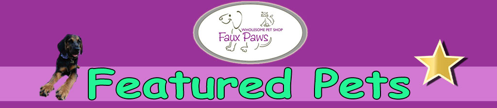 Faux Paws Pet Shop Featured Pets Logo